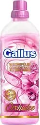 Ополіскувач для білизни Gallus Orchidee, 2 л