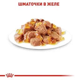 Вологий корм для кішок з чутливою шкірою і проблемною шерстю Royal Canin Hair Skin шматочки в желе 85 г - мініатюра 5