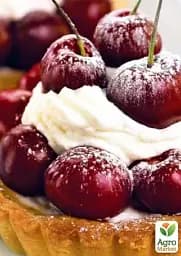Саджанець Agro-Market Вишня колоновидна блискуча темно-червона Шоколадний мус (Chocolate mousse) (преміальний супер ранній сорт) 1 шт. в упаковці (45985) - мініатюра 2