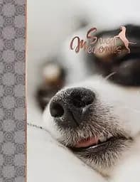 Альбом UFO PP-46200 Enjoy 10x15x200см (PP-46200 Enjoy)