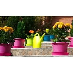 Лійка Plastkon Spring 4.5 л салатова (116564) - мініатюра 3