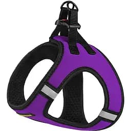 Шлея для собак Bronzedog Sport Vest XS 17х13х3 см фиолетовая