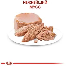 Набір вологого корму для кошенят до 4 місяців Royal Canin Babycat Instinctive 2.34 кг (12 шт. х 195 г) - мініатюра 6