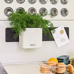 Комплект вазонів з кріпленням Lechuza Green Wall Home Kit Color 48х6х14 см сірий (13399) - мініатюра 7