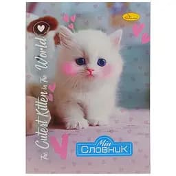 Тетрадь-словарь по иностранному языку "The Cutest Kitten in the world" Апельсин АП-0502-8 В5 на скобе