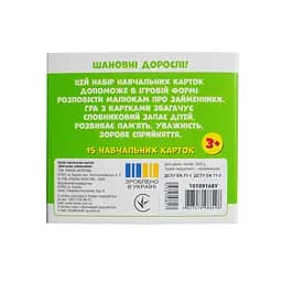 Навчальні картки "Вивчаємо займенники ОН,ОНА,ВОНО,ВОНИ" Ранок 10109168, 15 карток - мініатюра 2