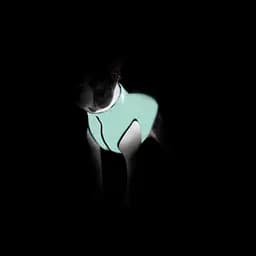 Курточка для собак AiryVest Lumi двостороння світиться в темряві розмір XS 22 салатово-помаранчева   - мініатюра 7