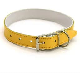 Нашийник для собак Zoo-hunt ОД Фарби шкіряний подвійний жовтий 1,8/28-36 см