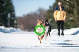 Кольцо PitchDog (4823089302461)