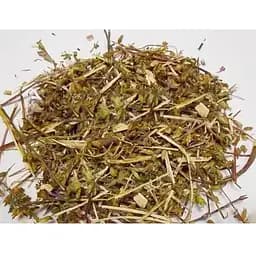 100 г трава змееголовника молдавского - свежий урожай
