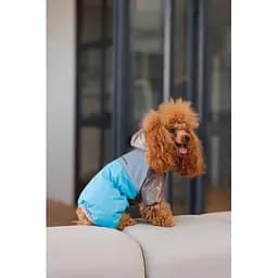 Комбінезон Pet Fashion Сharlie S для собак - мініатюра 4