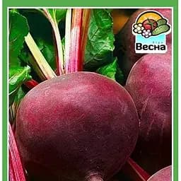Насіння Весна Буряк Вінегретний Новий пакет 2 г (23623)