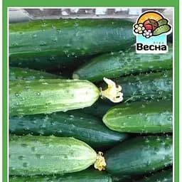 Насіння Весна Огірок Король грядки F1 Новий пакет 0.25 г (22948)