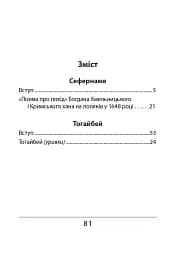 Сефернаме. Тогайбей - мініатюра 13