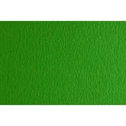 Папір для дизайну Fabriano Elle Erre B1 (70x100см) №11 verde 220г/м2 зелений дві текстури