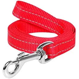Поводок Dog Extreme из нейлона (ширина 20мм, длина 200см), красный