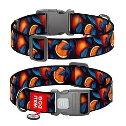 Нашийник для собак нейлоновий Waudog Nylon з QR-паспортом "Апельсини" пластиковий фастекс XXL Ш 35 мм Д 46-70 см