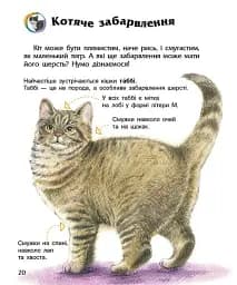 Коти. Енциклопедія дошкільника - мініатюра 6