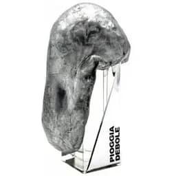 Духи оригинал Filippo Sorcinelli Pioggia Debole 50 мл Extrait de Parfum