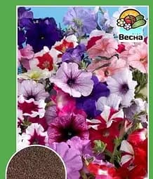 Насіння Весна Петунія ампельна суміш 0.3 г (11489)