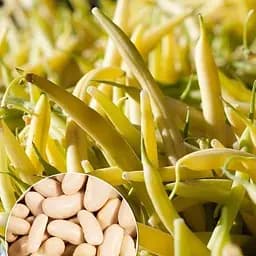 Квасоля "Масляний король" ТМ "Весна"  15г (35737)