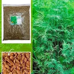 Насіння Весна Кріп геркулес 500 г (15029)