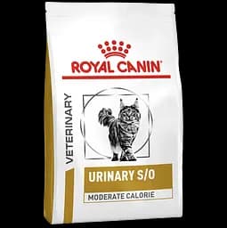 Сухий дієтичний корм для стерилізованих котів Royal Canin Urinary S/O Moderate Calorie при захворюваннях нижніх сечовивідних шляхів, 9 кг (3954120)