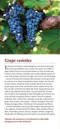Hugh Johnson's Pocket Wine Book 2019 - мініатюра 2