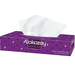 Серветки Alokozay паперові двошарові 100 шт.