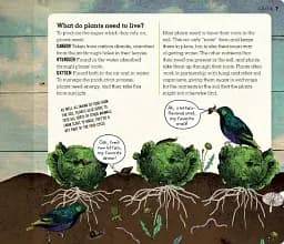 Grow. A Family Guide to Growing Fruit and Veg - мініатюра 10