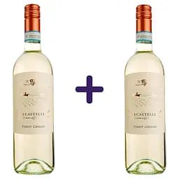 Вино I Castelli Pinot Grigio біле сухе 0.75 л х 2 шт.