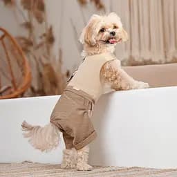 Шлей-костюм Darcy ТМ Pet Fashion для собак M бежева - мініатюра 8