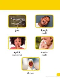 Do You Know? Level 1 Animal Sounds. BBC Earth - мініатюра 4
