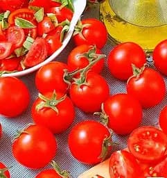 Насіння Весна на вагу Томат Червоне намисто ціна за 1 г (178281)
