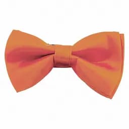 Краватка-метелик