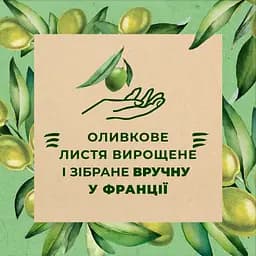 Гель для душу Le Petit Marseillais БІО Листя оливи 250 мл - мініатюра 3