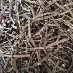 100 г копытень европейский корень сушеный - свежий урожай