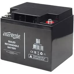 Аккумулятор EnerGenie AGM 12V/33Ah/396Wh (BAT-12V33AH) [125702]