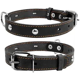 Ошейник для собак Collar одинарный с украшением (4820082491666)