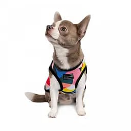 Майка-борцовка Pet Fashion Cool для собак, розмір M, з принтом - мініатюра 2