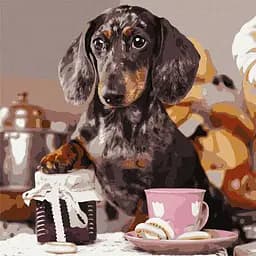 Картина по номерам Ideyka Пушистый повар 40х40 см KHO4273