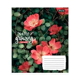 Упаковка зошитів 1В Keep growing А5/24 кл. 20 шт. (769116) - мініатюра 3