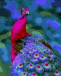 Набір для розпису по номерах Чарівна птаха, Strateg, 40x50 см, GS182