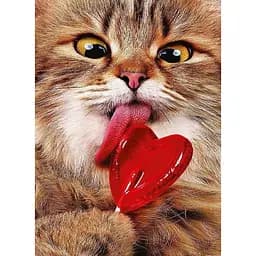 Алмазная мозаика Strateg ПРЕМИУМ Котик с леденцем без подрамника размером 50х65 см (SGK86073)