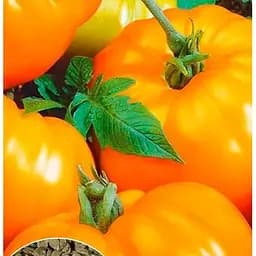 Насіння Весна Томат Мікадо жовтий Зіпер 0.5 г (11831)