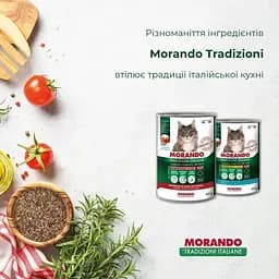 Вологий корм для котів Morando Tradizioni шматочки у соусі з яловичиною 405 г - мініатюра 4