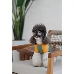 Футболка Pet Fashion Kent для собак S - мініатюра 6