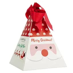 Новогодний подарочный набор Sunfill Merry Christmas сладости 258 г