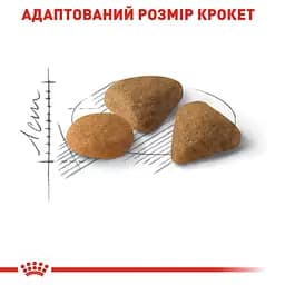 Сухий корм для котів вибагливих до складу продукту Royal Canin Exigent Savour 3.2 кг + 800 г - мініатюра 4