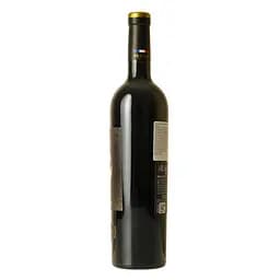 Вино Catrina Syrah Rouge IGP Pays D'Oc червоне сухе 0.75 л - мініатюра 4